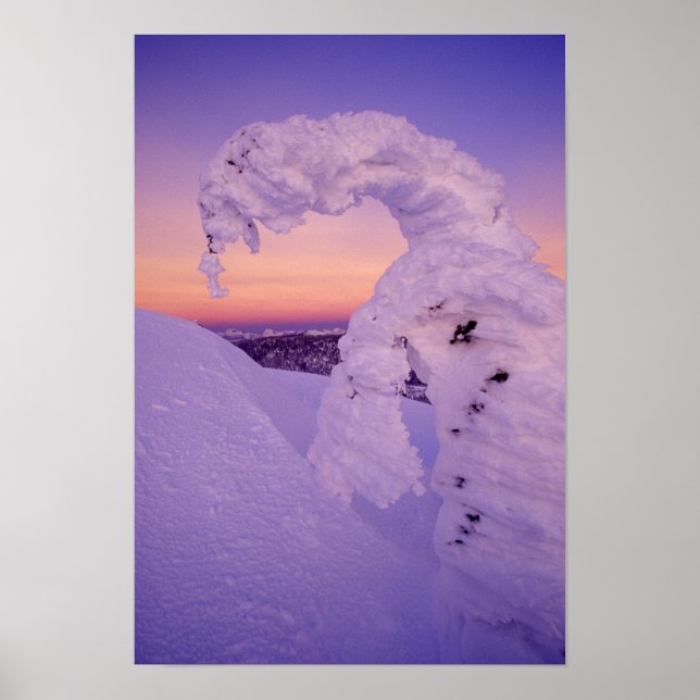 Snowghost in the Whitefish Range at Twilight Poster (Front)