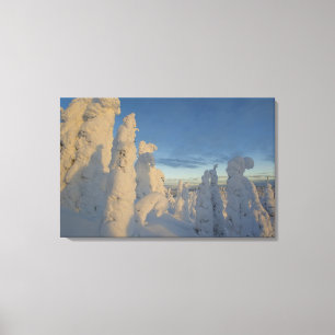 Snowghosts at sunset at Whitefish Mountain 2 Canvas Print