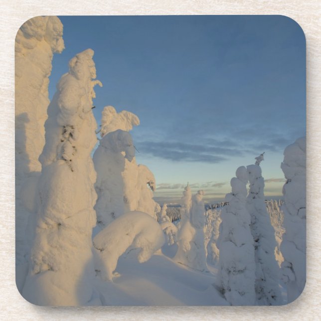 Snowghosts at sunset at Whitefish Mountain 2 Coaster (Front)