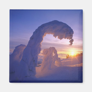 Snowghosts in the Whitefish Range of Montana Magnet