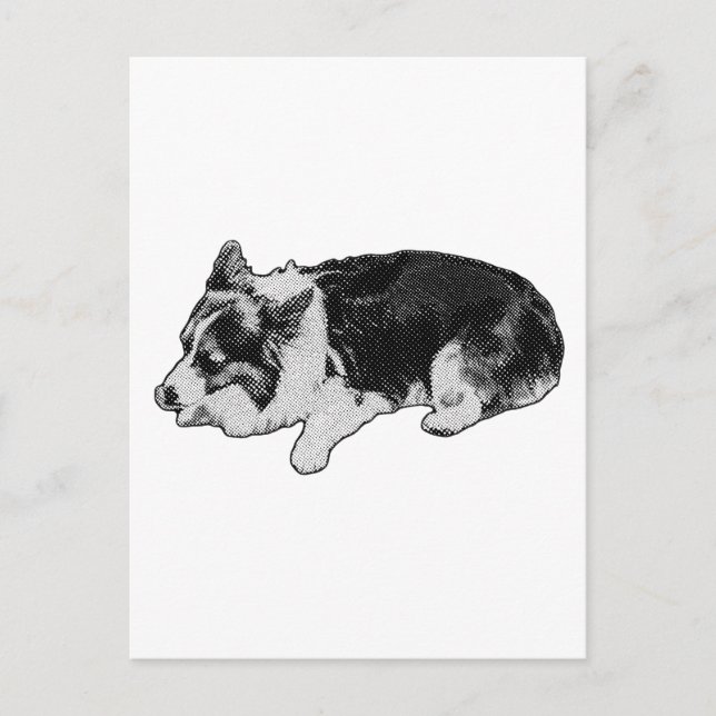 snowgrain hello, corgi postcard (Front)