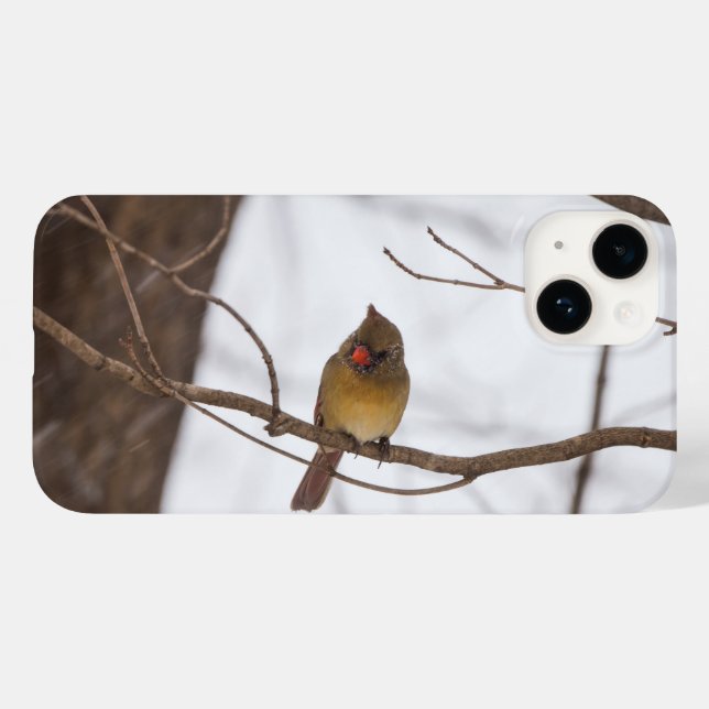 Snowing Again Says Mrs Cardinal iPhone Case (Back (Horizontal))
