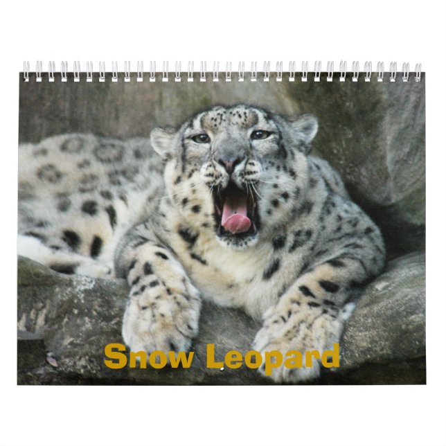 SnowLeopardBCR007, Snow Leopard Calendar (Cover)