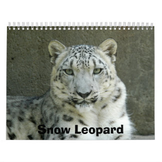 SnowLeopardM002, Snow Leopard Calendar