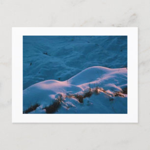SNOWLIGHT POSTCARD