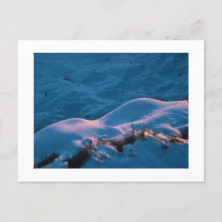 SNOWLIGHT POSTCARD