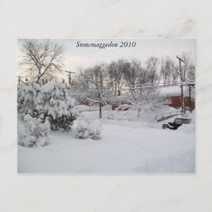 Snowmaggedon 2010 postcard