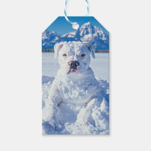 Snowman Pitbull Puppy Dog Grand Tetons Gift Tag