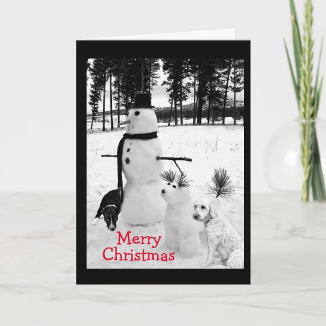 SNOWMAN WISHES FOR **YOUNG NEPHEW** CHRISTMAS HOLIDAY CARD (Front)