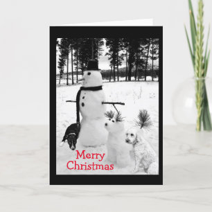 SNOWMAN WISHES FOR **YOUNG NEPHEW** CHRISTMAS HOLIDAY CARD