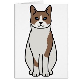 Snowshoe Cat Cartoon