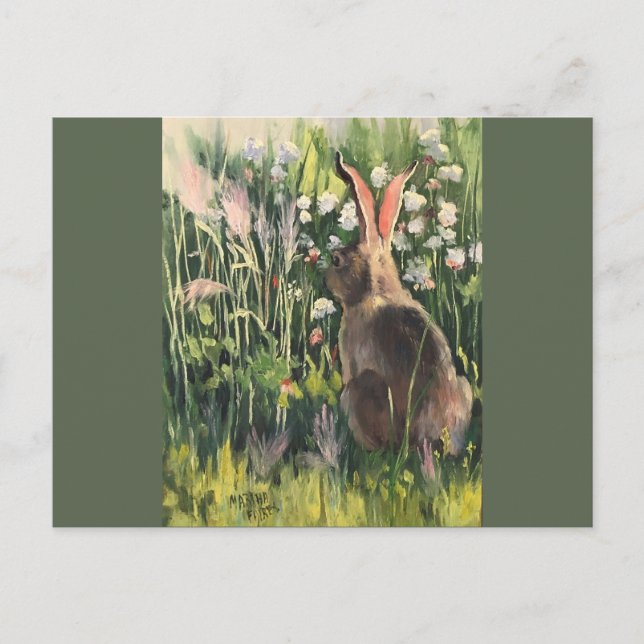 Snowshoe Hare in Spring Postcard (Front)