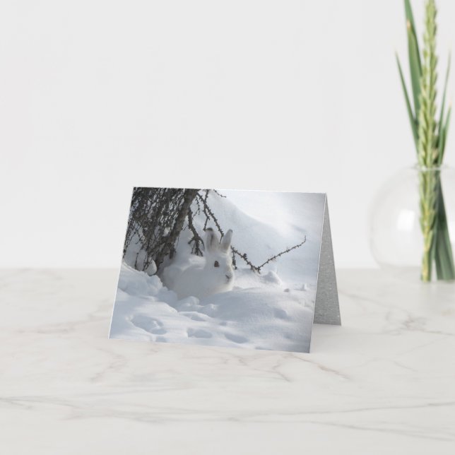 Snowshoe Hare under Bush in Snow Holiday Card (Front)