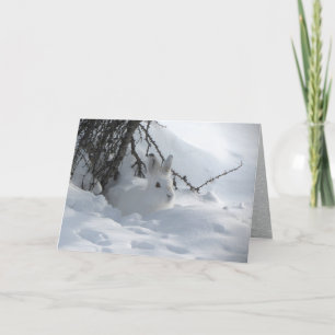 Snowshoe Hare under Bush in Snow Holiday Card