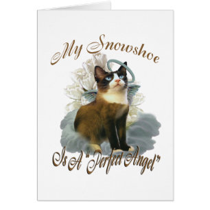 Snowshoe Perfect Angel