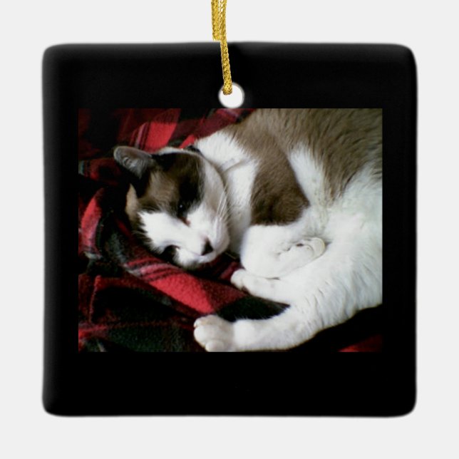 snowshoe tartan kitty ceramic tree decoration (Front)