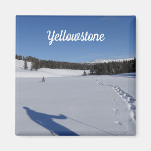 Snowshoeing in Yellowstone National Park Magnet