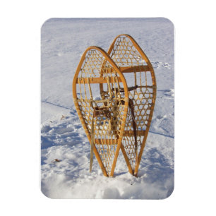 Snowshoes in the Snow Magnet