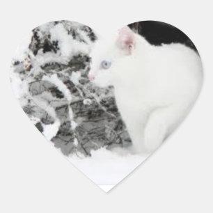 Snowstorm love sticer heart sticker