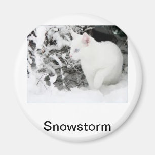 Snowstorm Magnet