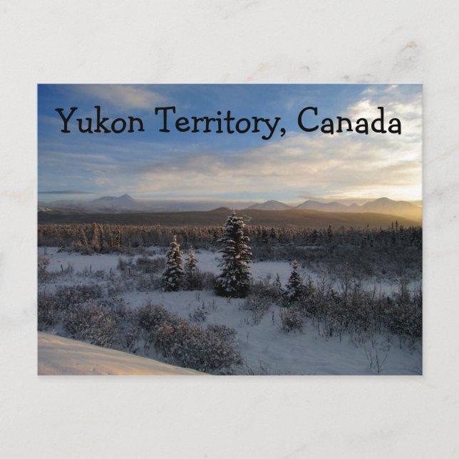 Snowy Afternoon; Yukon Territory, Canada Postcard (Front)