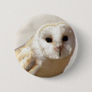 Snowy Barn Owl  Pin