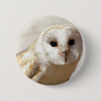 Snowy Barn Owl Pin