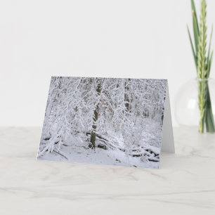 Snowy Birch Tree Canopy Card