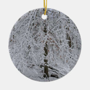 Snowy Birch Tree Canopy Ceramic Tree Decoration