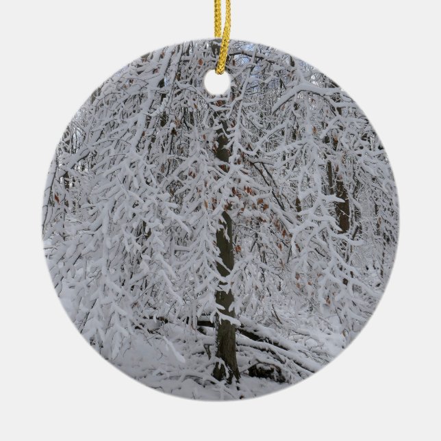 Snowy Birch Tree Canopy Ceramic Tree Decoration (Front)