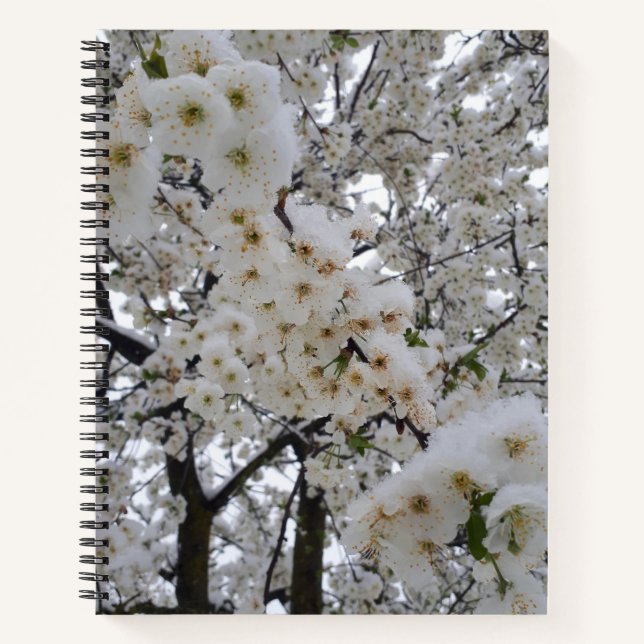 Snowy Blossom Spiral Notebook (Front)