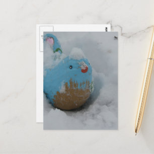 Snowy Blue Bird Postcard