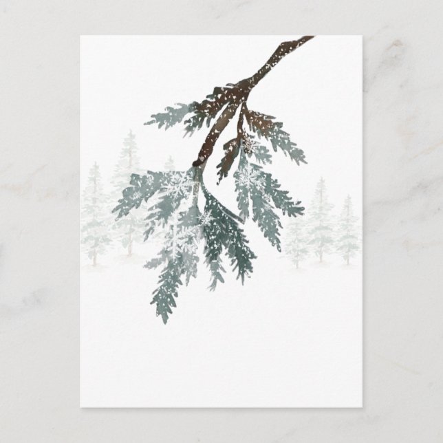 Snowy Blue Spruce Branch Winter Woodland Scene Postcard (Front)