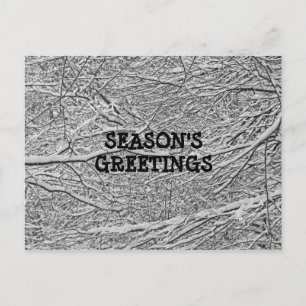 Snowy Branches Greeting Postcard