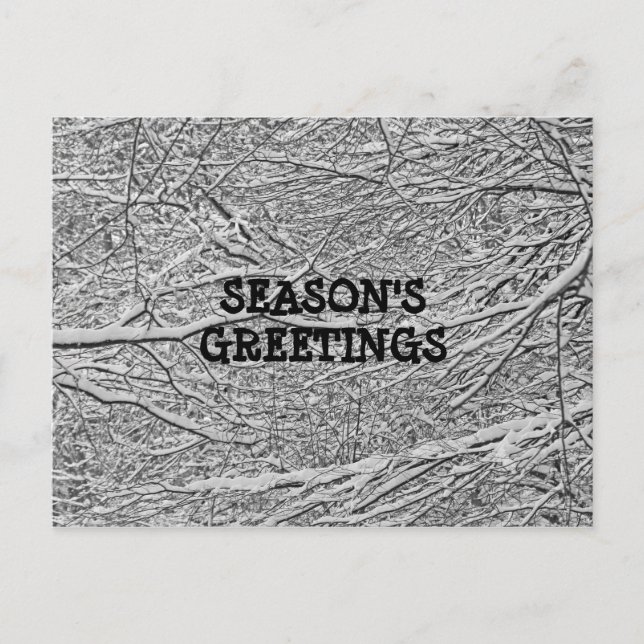 Snowy Branches Greeting Postcard (Front)
