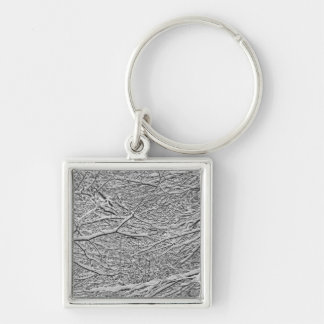 Snowy Branches Key Ring