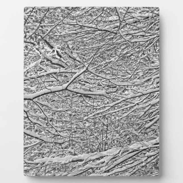 Snowy Branches Plaque (Front)