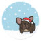 Snowy Brindle Frenchie
