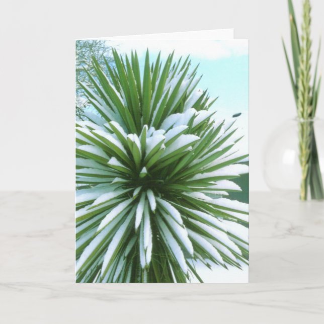 Snowy Cactus card (Front)