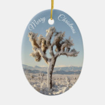 Snowy California Desert Christmas