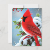 Snowy Cardinal Bird Graphic
