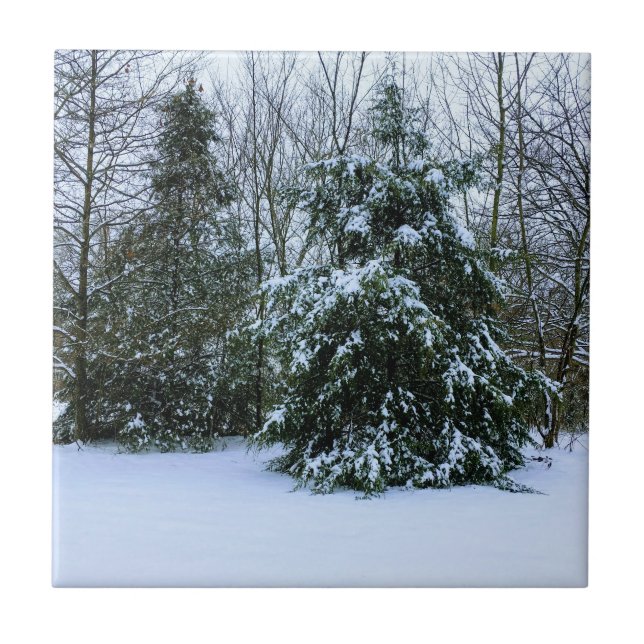 Snowy Cedars Tile (Front)