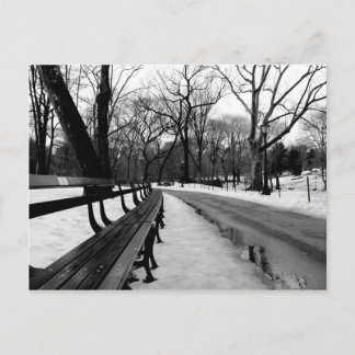 Snowy Central Park Postcard