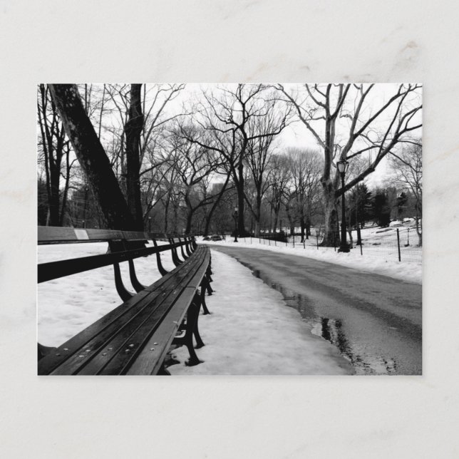 Snowy Central Park Postcard (Front)
