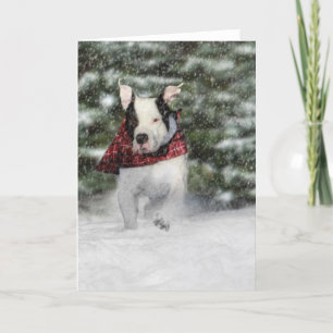 Snowy Christmas Holiday Greeting for Dog Lover Card