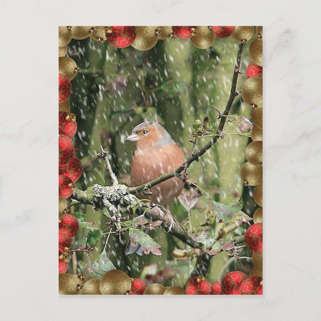 Snowy Christmas Holiday Postcard (Front)