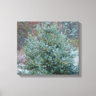 Snowy Christmas Tree Canvas Print