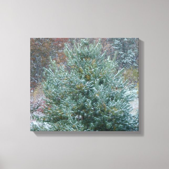 Snowy Christmas Tree Canvas Print (Front)
