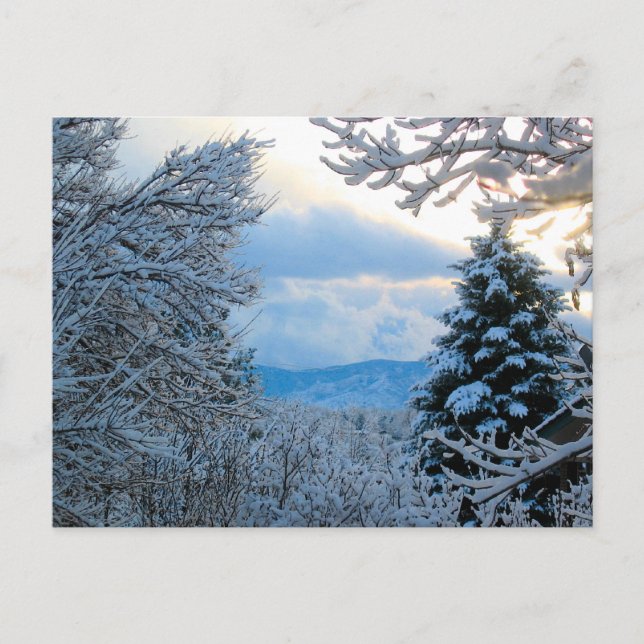 Snowy Colorado Postcard (Front)