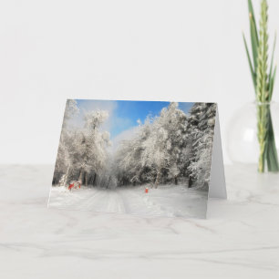 Snowy Country Road Christmas Card